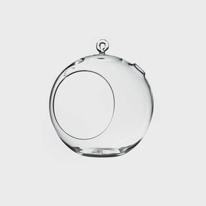 Lot of 2 Versatile 6" Glass Terrarium Globe - Perfect for Succulents and Candles